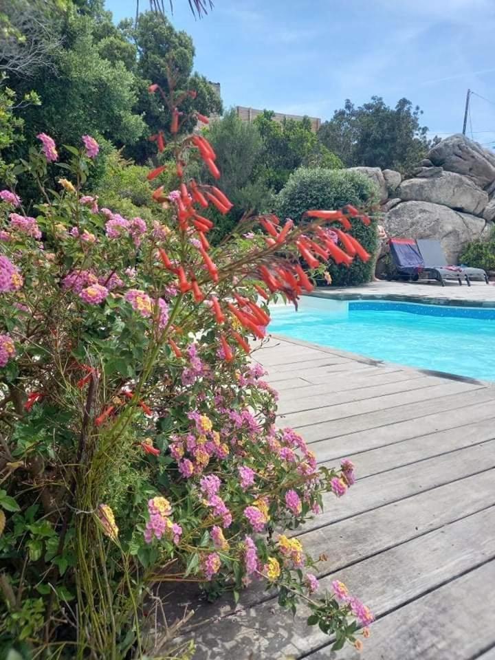 Residence Stella D'Oro Porto-Vecchio  Exterior photo